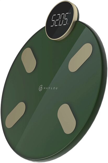 Напольные весы Haylou CM01 (Dark green) RU - 4