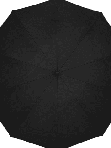 Зонт Zuodu Reverse Folding Umbrella (без фонарика) (Black) - 1